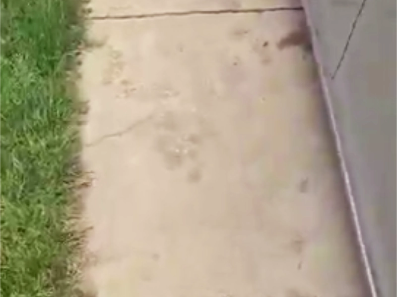A detailed perspective view showing prominent spider cracks branching across a residential concrete driveway surface before the crack repair was performed.