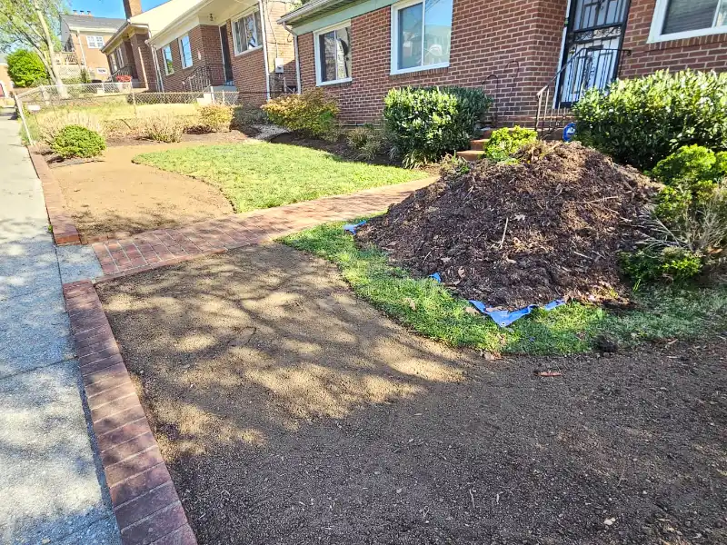 A large pile of cleared debris sits on a tarp while sections of the front yard are graded to bare dirt in preparation for new tall fescue sod installation.