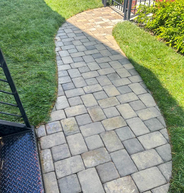 Newly installed sod surrounding a curved paver walkway in a Washington, DC front yard after replacing failed grass.