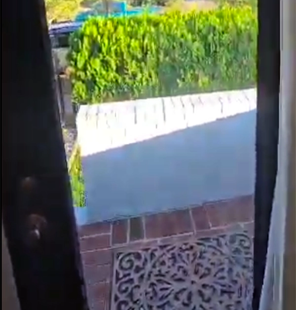 A view looking through the glass panel of a dark interior door reveals a brick patio with a decorative scrollwork mat, a manicured green hedge, and sunlit trees in the background.