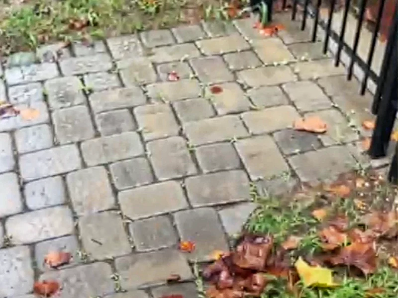 Low area in the entrance of the front yard next to the black iron gate where the lawn had dropped below the surrounding walkway and landscape before repairs.