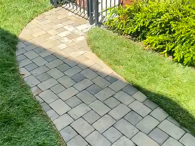 Healthy new sod growing alongside a curved paver pathway in the front yard next to the black iron gate entrance.