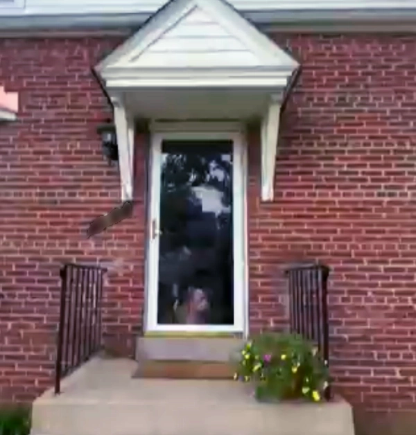 The original front entrance of a red brick house featuring a small white bracketed portico over a glass storm door and a plain concrete stoop with basic black metal railings.