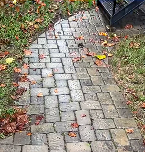 Front yard lawn that settled below the adjacent paver walkway, creating an uneven grade before regrading and sod installation.