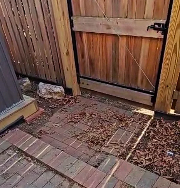 Rear gate access area with timber landscape edging, aging brick pavers, and an uneven transition leading toward the alley before renovation.