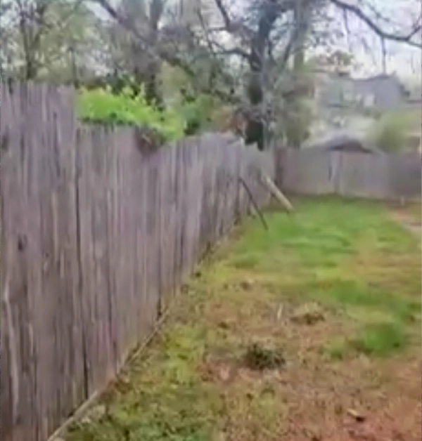 An old, leaning six-foot pressure-treated wood privacy fence runs along the grassy perimeter of a backyard before being removed for a replacement project.